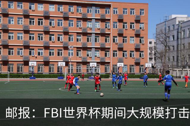 邮报：FBI世界杯期间大规模打击无人机活动，一名非法移民被捕